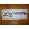 Logo Bagheera