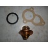 Thermostat eau + joints  530