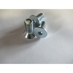 6 vis métaux fixation charnières portes Bagheera