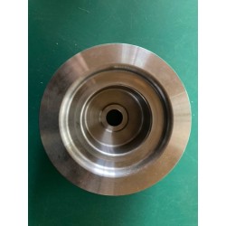 Poulie de pompe à eau Murena 2.2